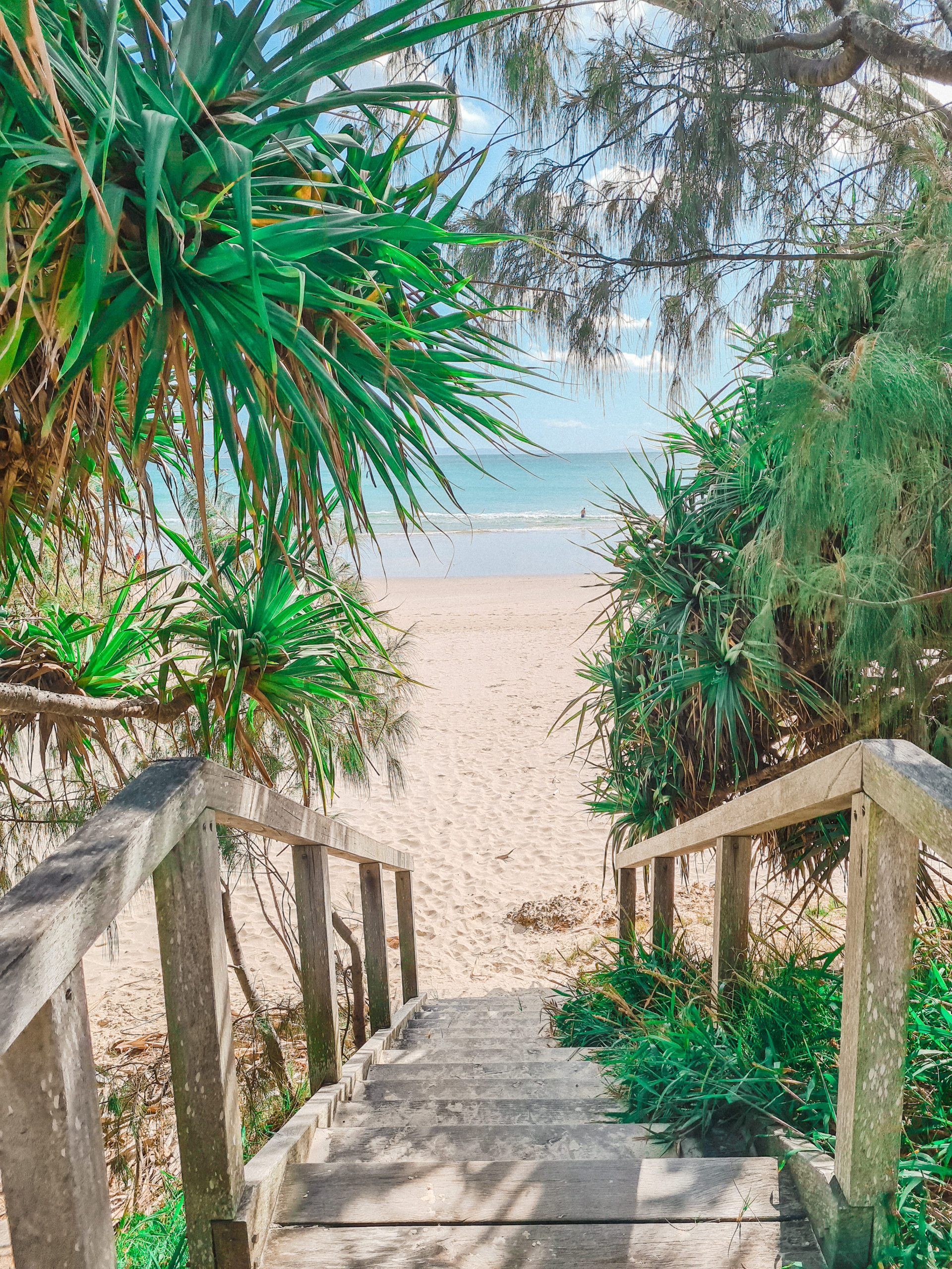 Walkway to beach byron bay australia top pick