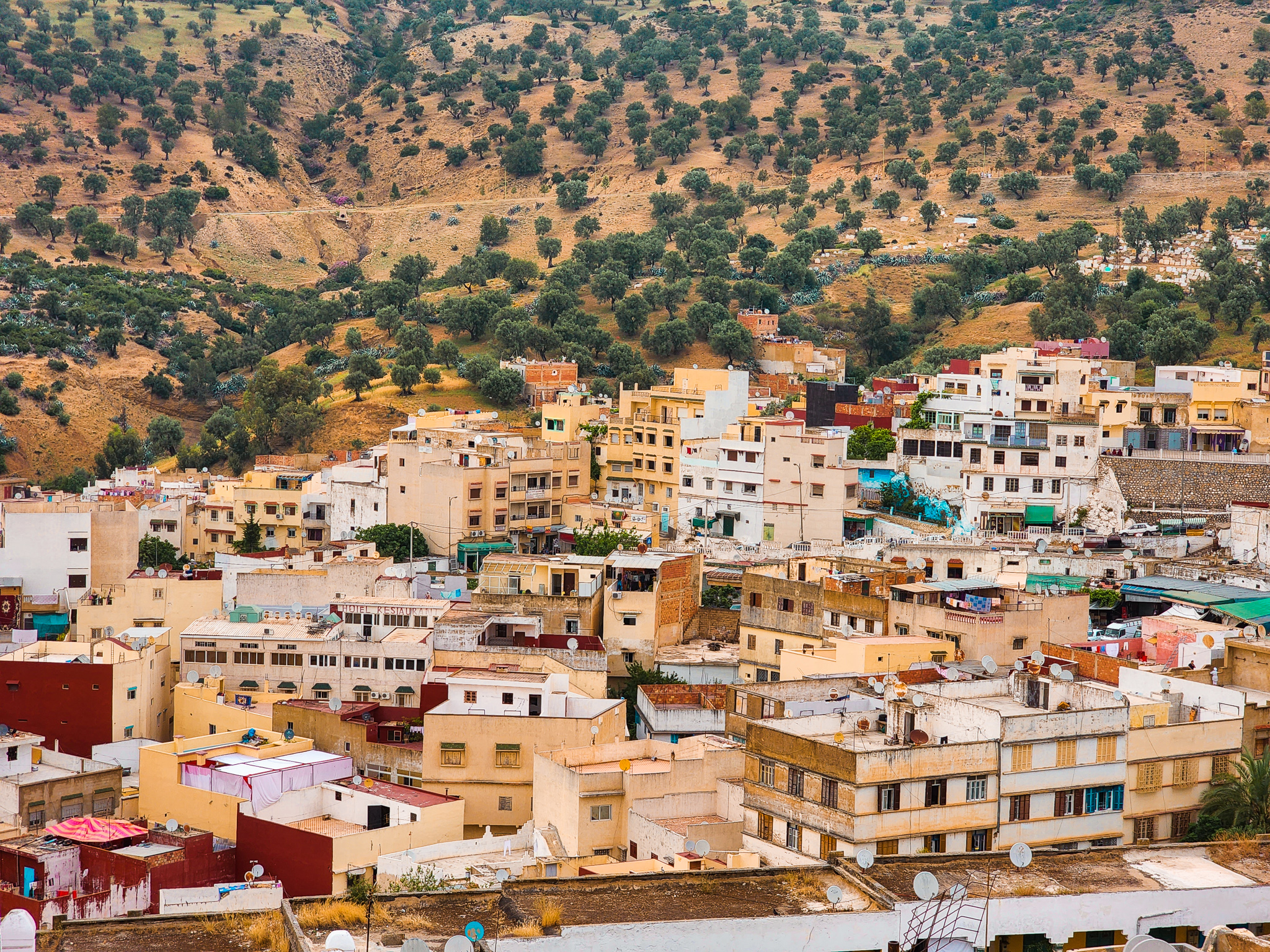 Moulay Idriss things to do
