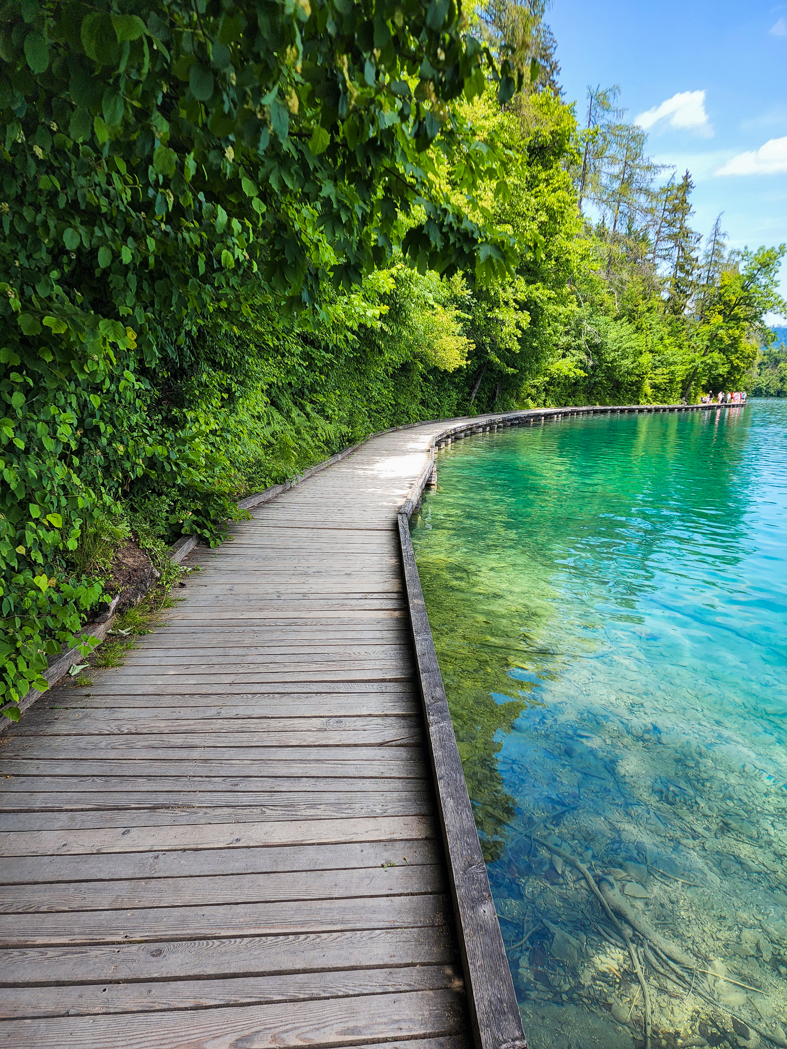 Lake Bled highlights clear water hiking