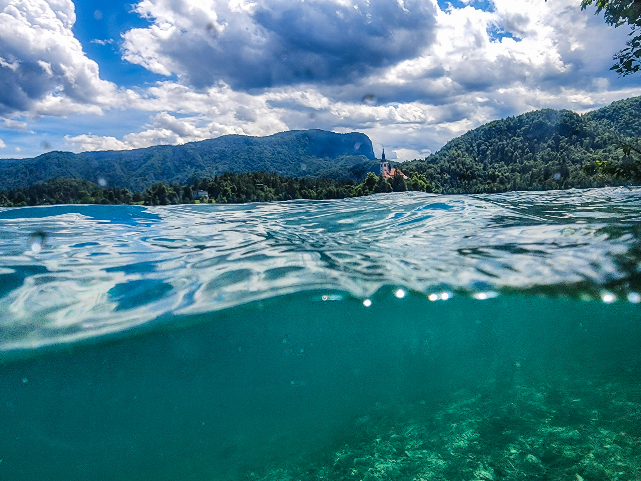 Swimming in lake bled