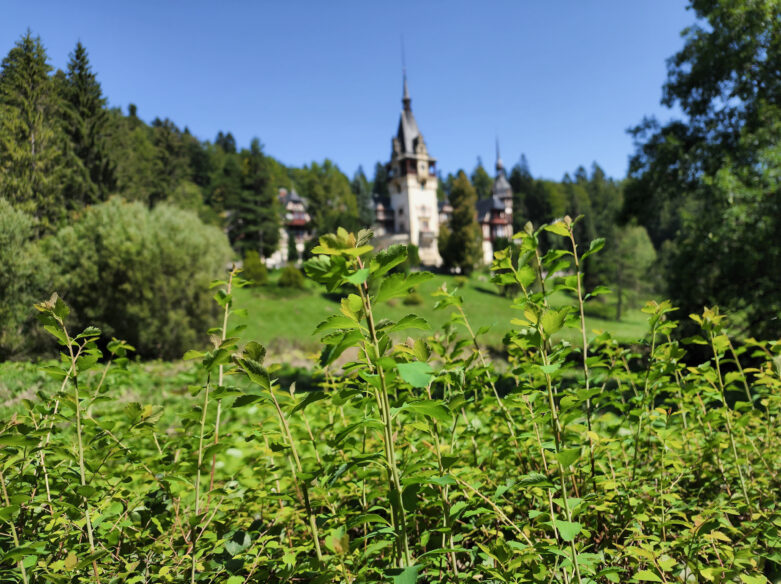 should i visit transylvania romania sinaia