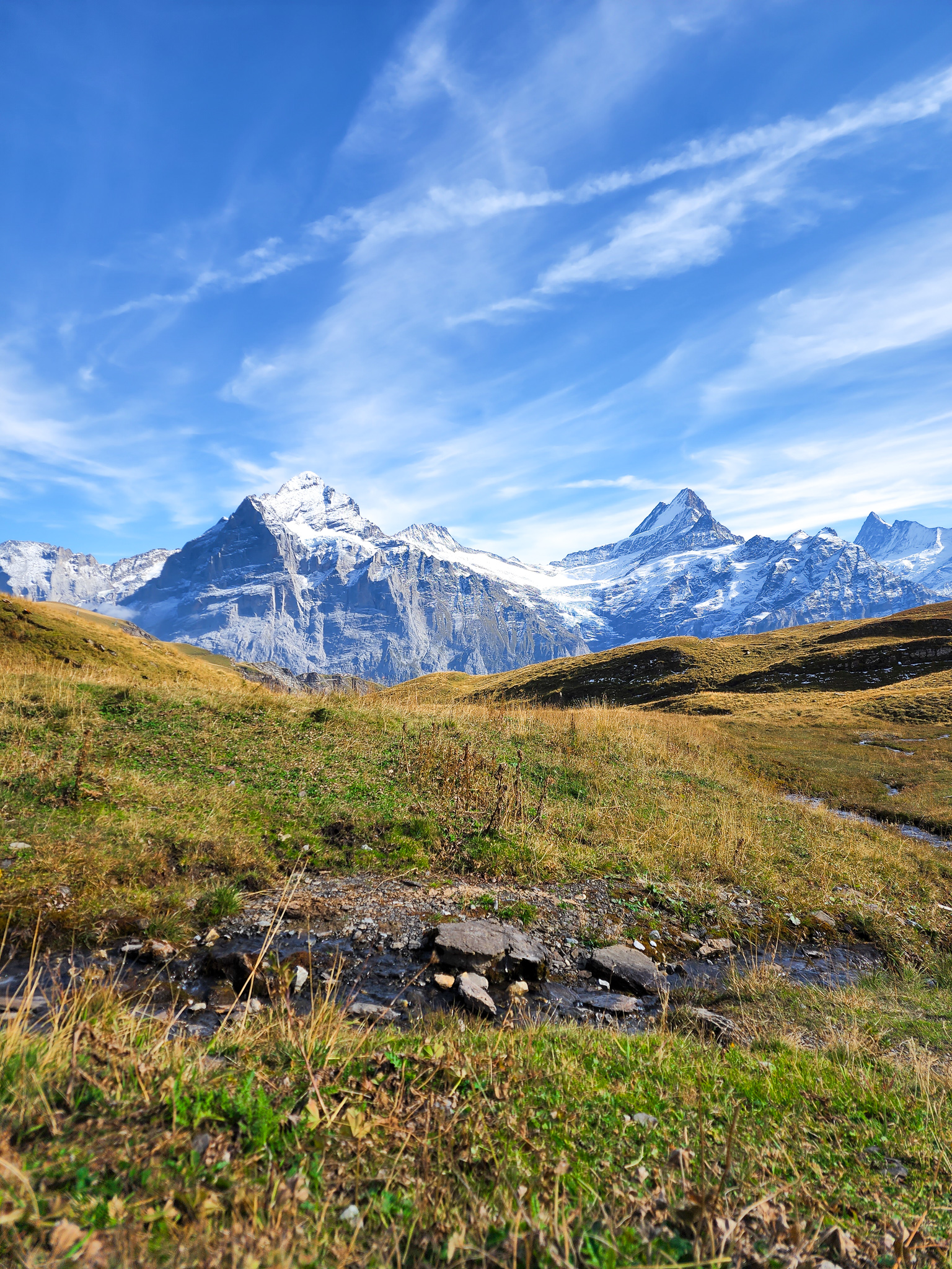 hike Grindelwald to First to Bachalpsee