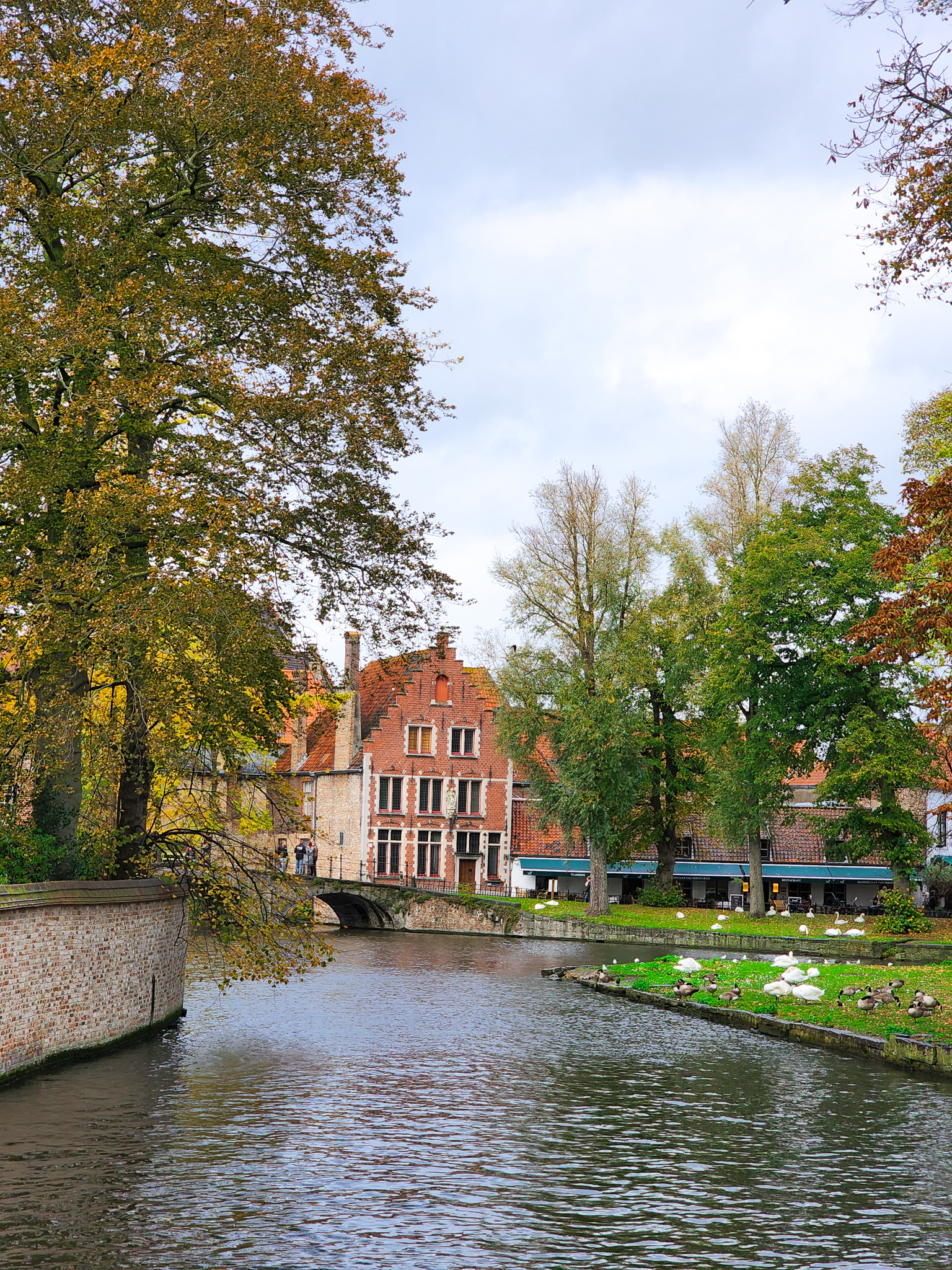 Minnewaterpark bruges brugge things to do
