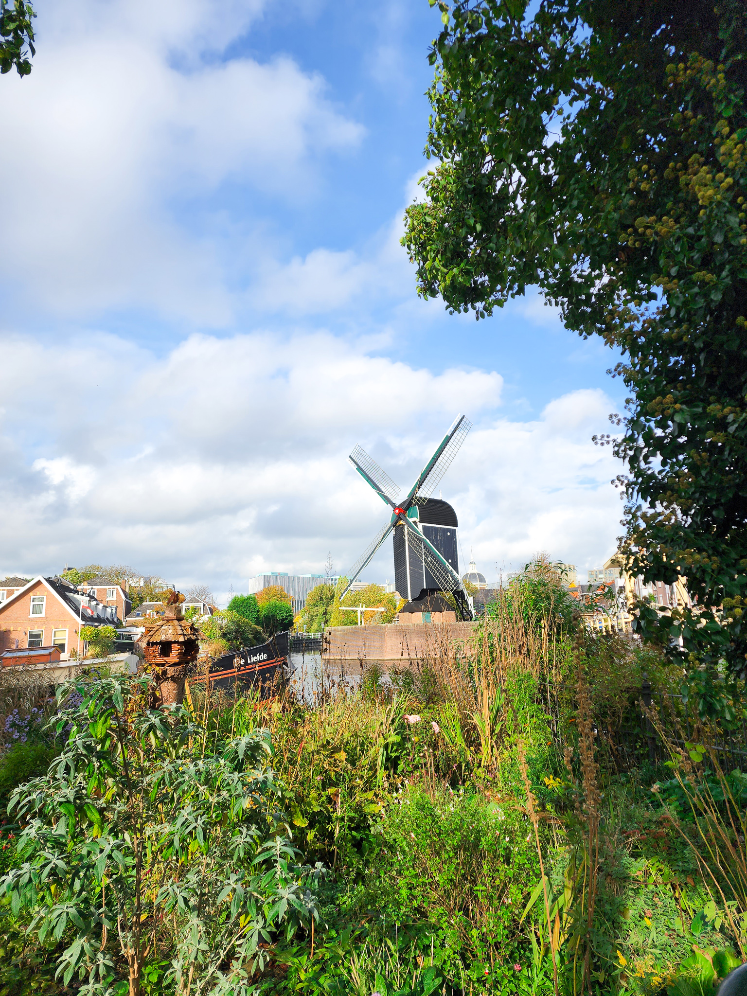 rembrandt park leiden amsterdam holland netherlands