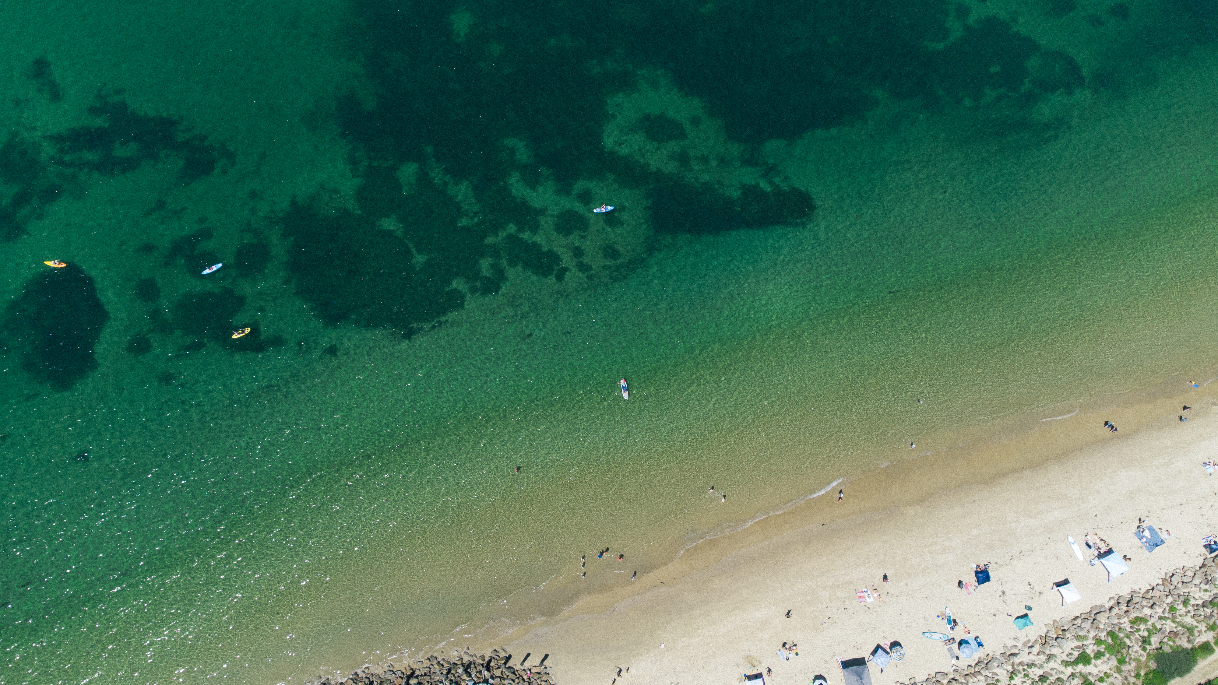drone mornington peninsula dolphins swim somers
