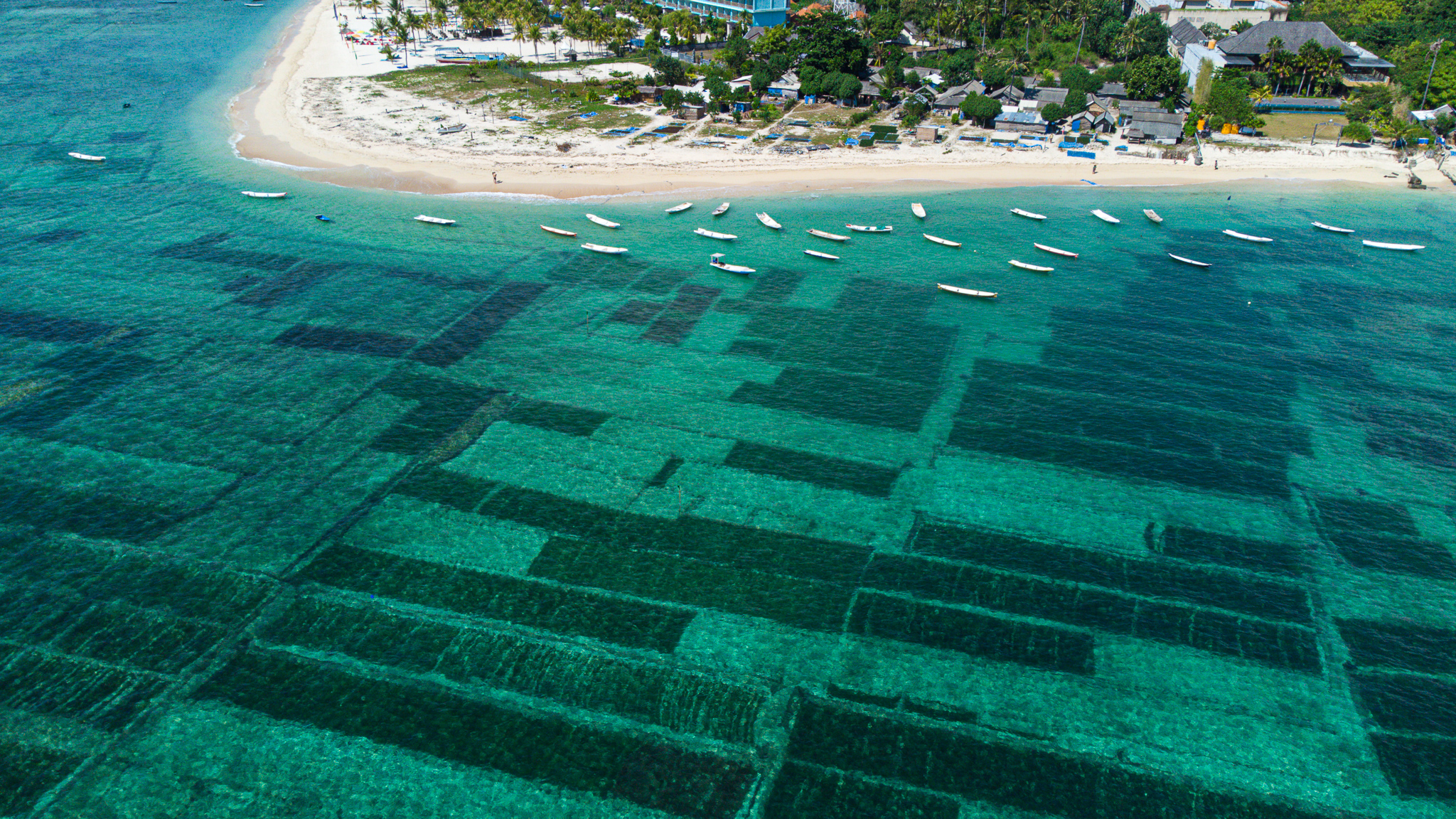 Drone nusa lembongan island bali indonesia hidden beach jungutbatu seaweed farms