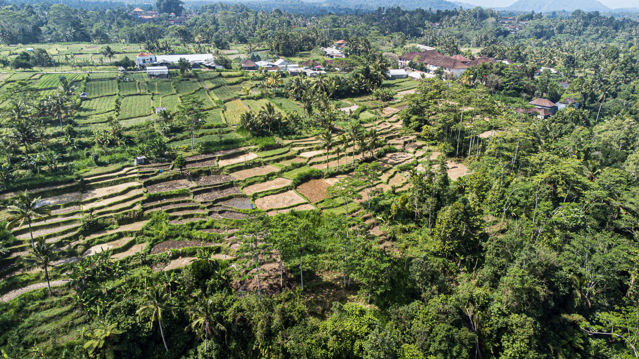 bali indonesia ubud drone photo tips guides