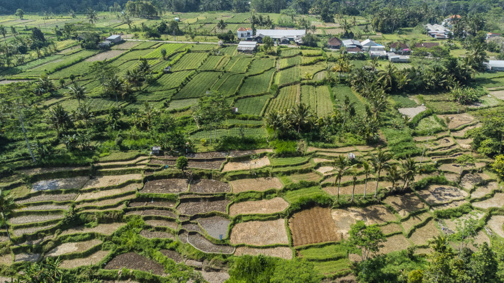 rice terrace ubud bali where to visit tips day trip