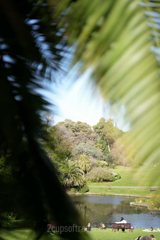 royal botanical gardens melbourne best place to walk picnic