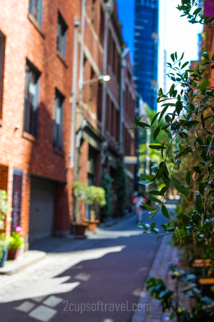 the best laneways of melbourne alleyway where to visit