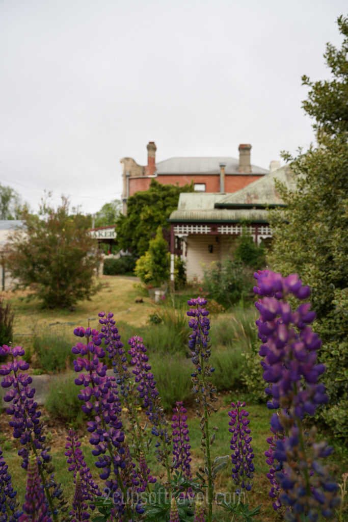 day trip trentham daylesford from Melbourne things to do