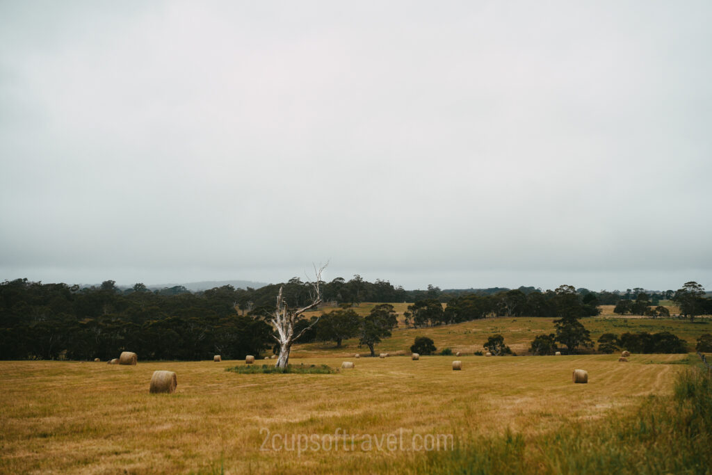 day trip to trentham from melbourne hidd gem victoria