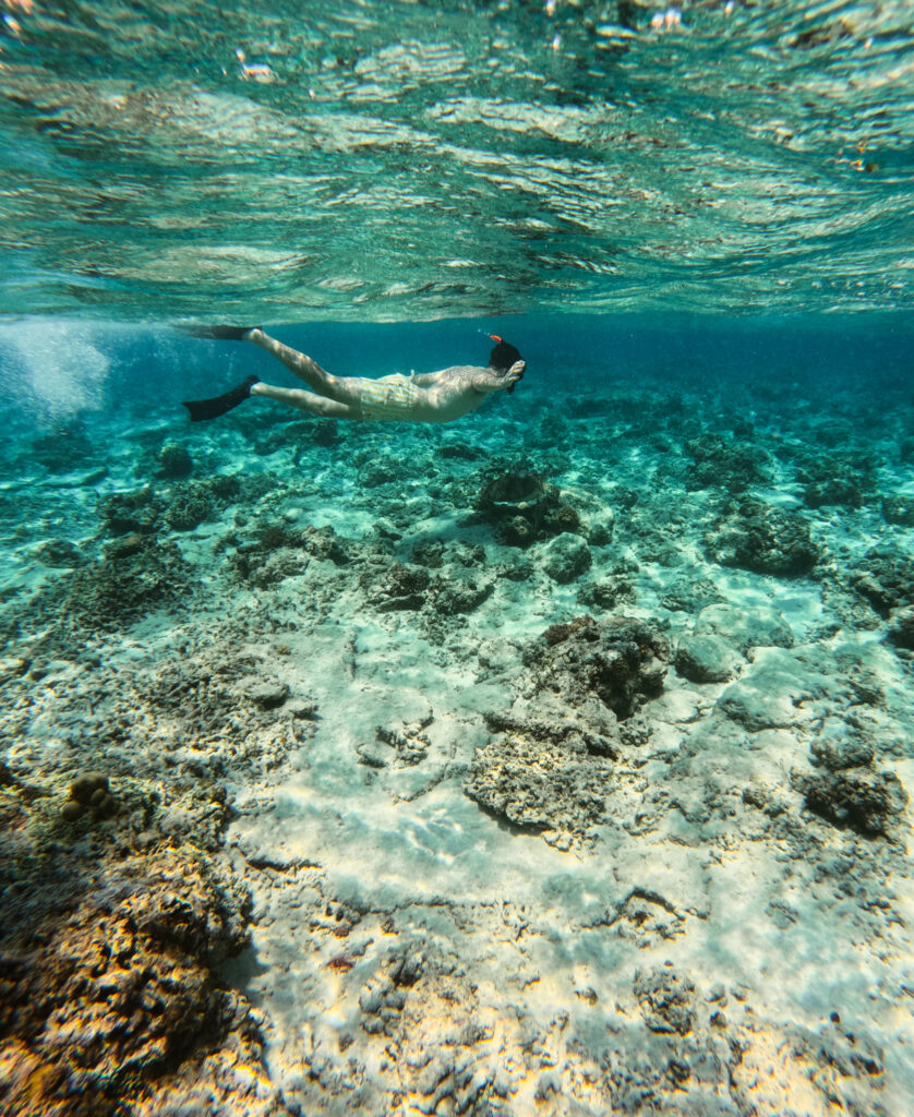 snorkelling tour gili meno gili trawangan bali indonesia lombok should i visit go pro