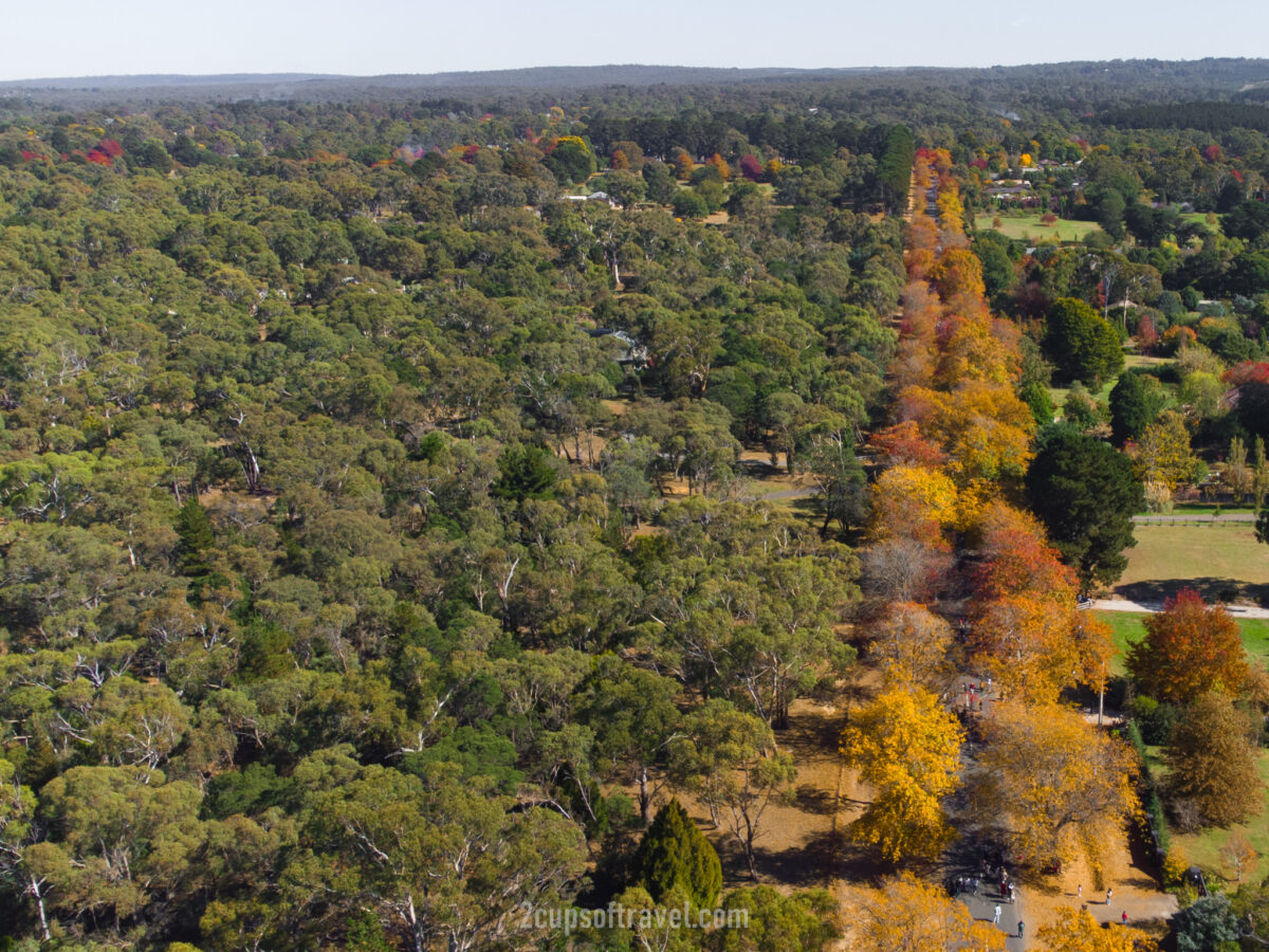 Mount macedon drone photo honour avenue things to do day trip melbourne