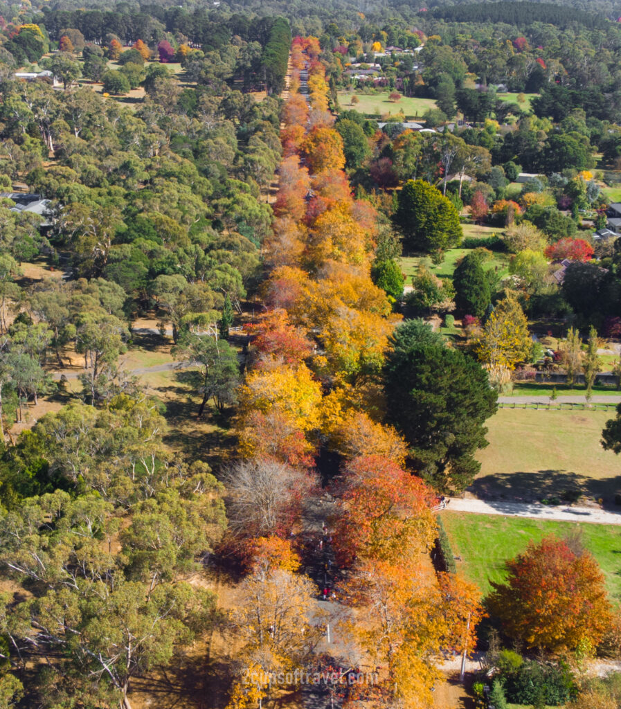 should i visit mount macedon day trip from melbourne in autumn