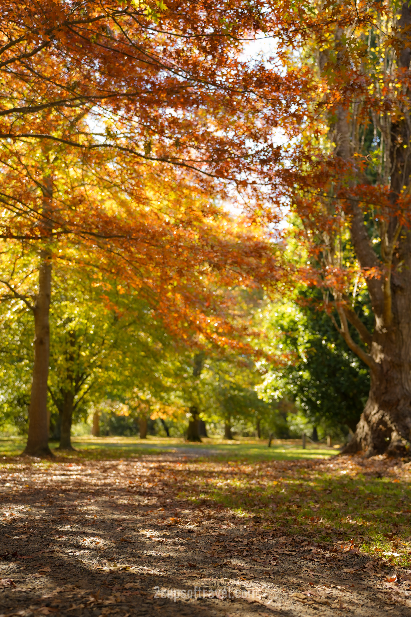 mount macedon day trip from melbourne in autumn