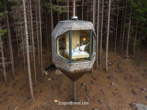 should i stay the woodnest odda things to know norway luxury accommodation treehouse