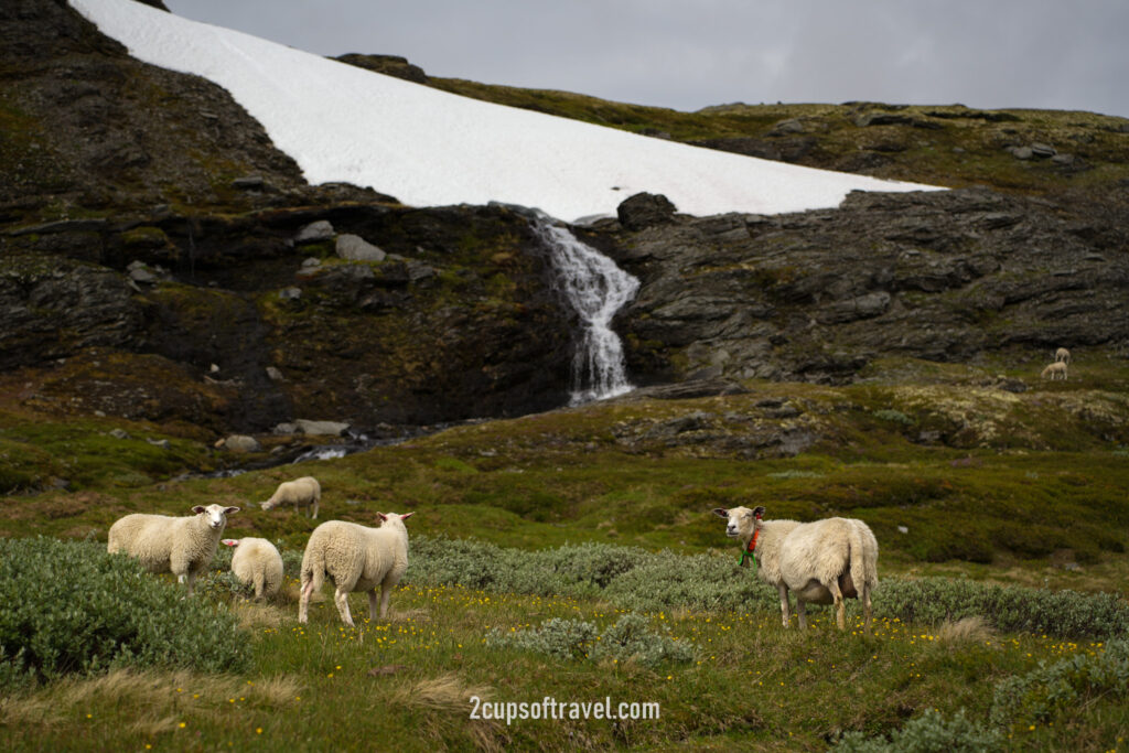 most beautiful road in norway Nasjonal turistveg Aurlandsfjellet aurland laerdal views