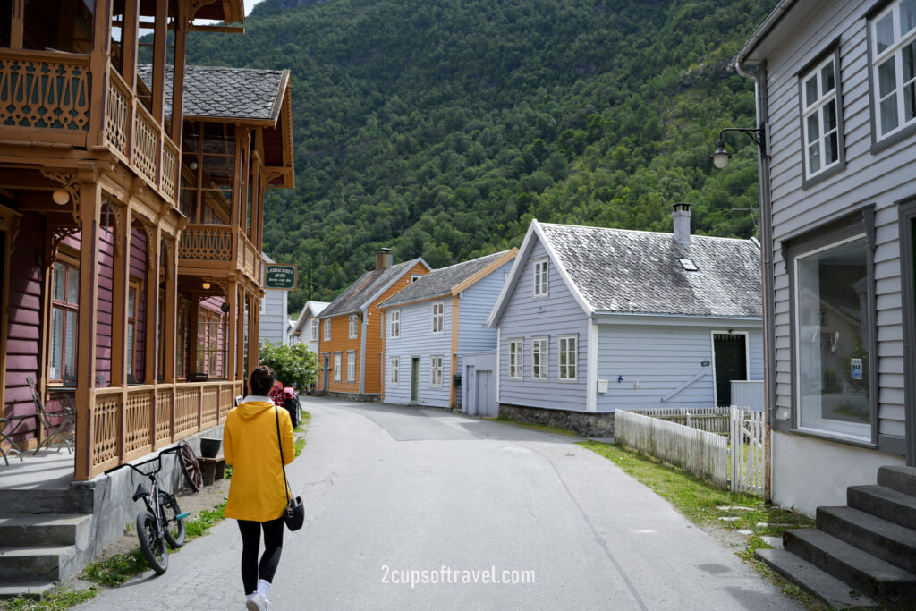 day trip Laerdal valley and Laerdalsoya should i visit things to do