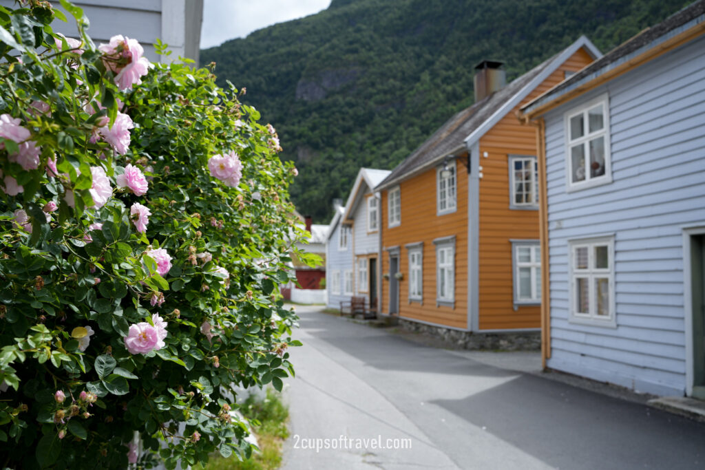 day trip Laerdal valley and Laerdalsoya should i visit things to do