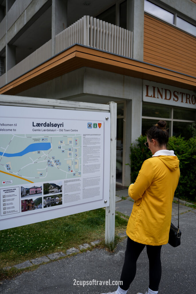 day trip Laerdal valley and Laerdalsoya should i visit things to do