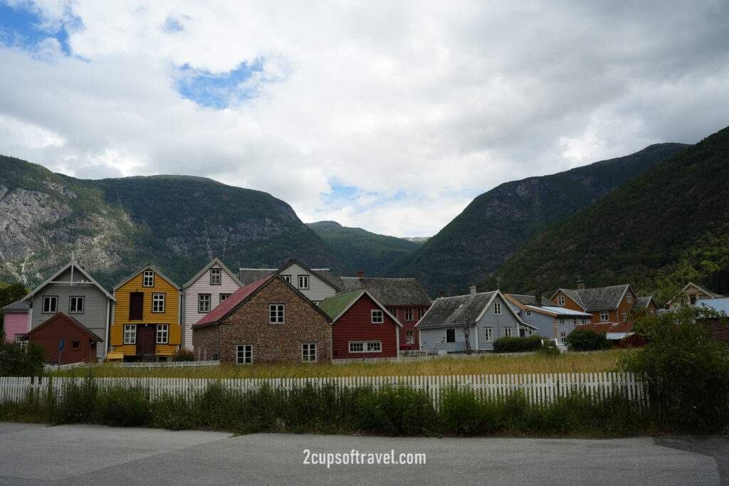 day trip Laerdal valley and Laerdalsoya should i visit things to do