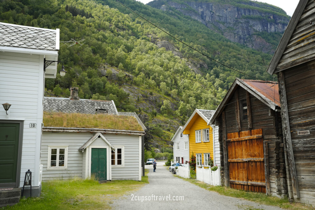 day trip Laerdal valley and Laerdalsoya should i visit things to do