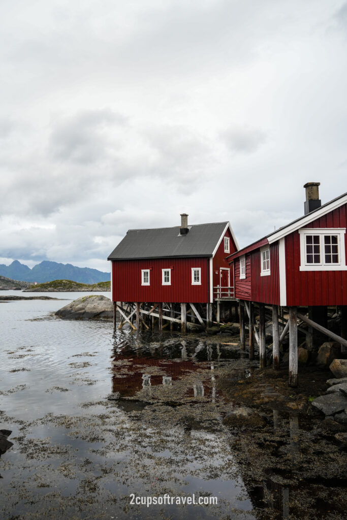 should i visit svolvaer day trip henningsvaer lofoten islands