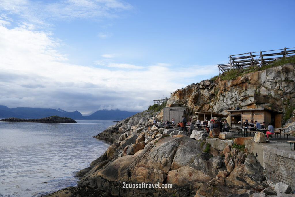 Trevarefabrikken wine by the water pizza things to do henningsvaer bar