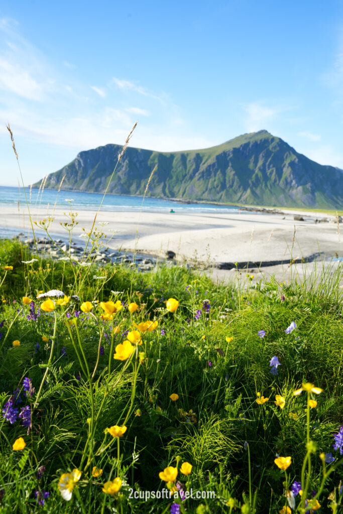 summer in lofoten things to do beaches guide islands norway skagsanden beach lofoten beach camp