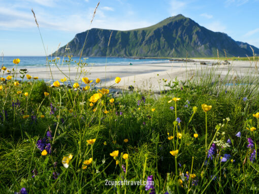 summer in lofoten things to do beaches guide islands norway skagsanden beach lofoten beach camp