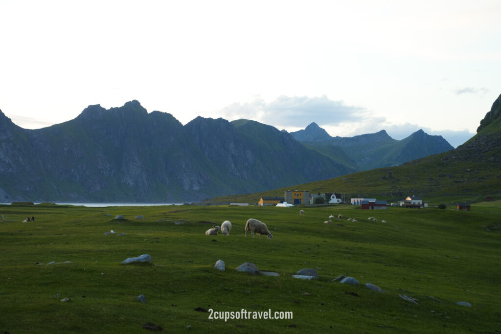 where to watch midnight sun lofoten islands norway Uttakliev Strand