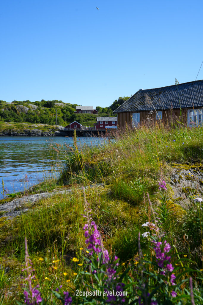 Sakrisøy Sakrisoy reine day trip things to do lofoten islands