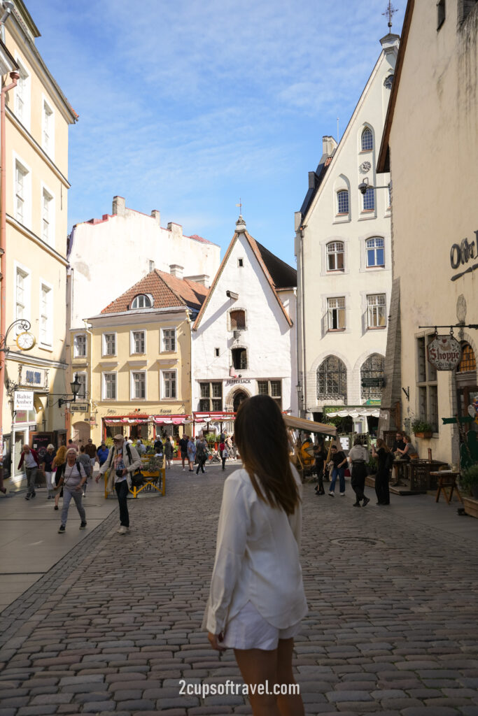 tallinn old town square things to do where to see estonia