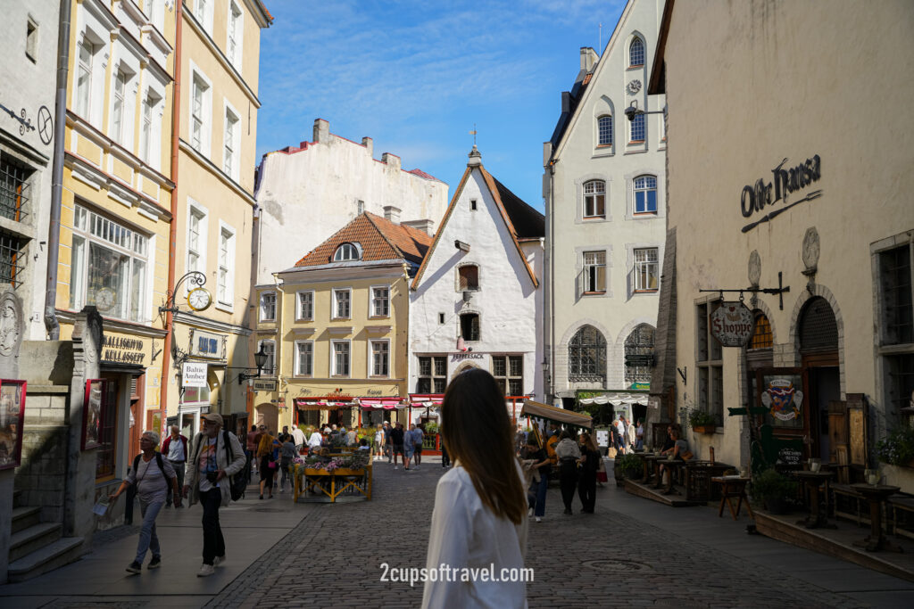 should i visit tallinn estonia hidden gem things to do guide