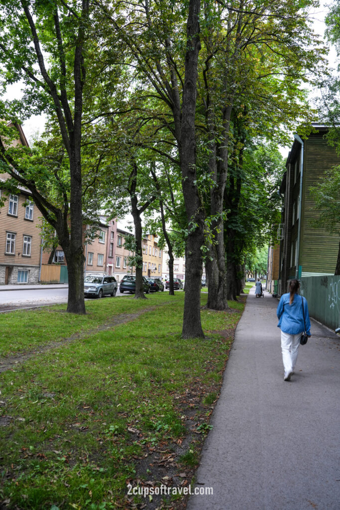 kalamaja things to do tallinn old wooden houses