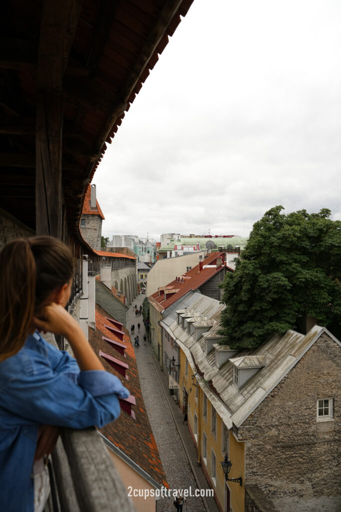 best views in tallinn viewpoints where to go