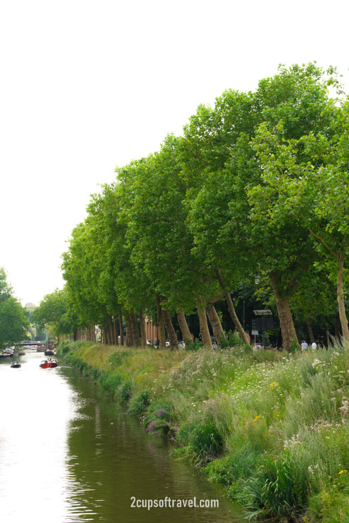 wader Utrecht old town things to do day trip from amsterdam walk canal