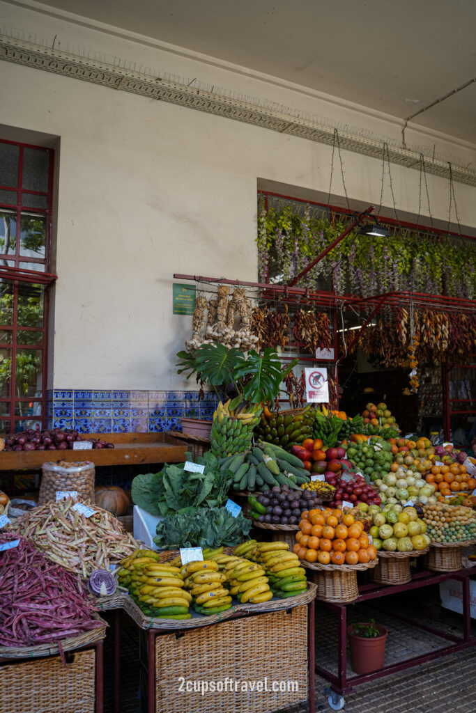 should i visit funchal madeira things to do guide portugal