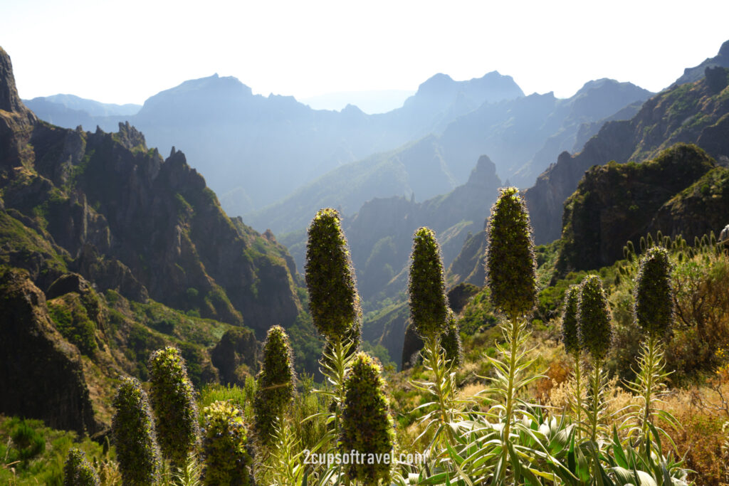 where to visit madeira must visit things to know guide bucket list gems PR1 hike