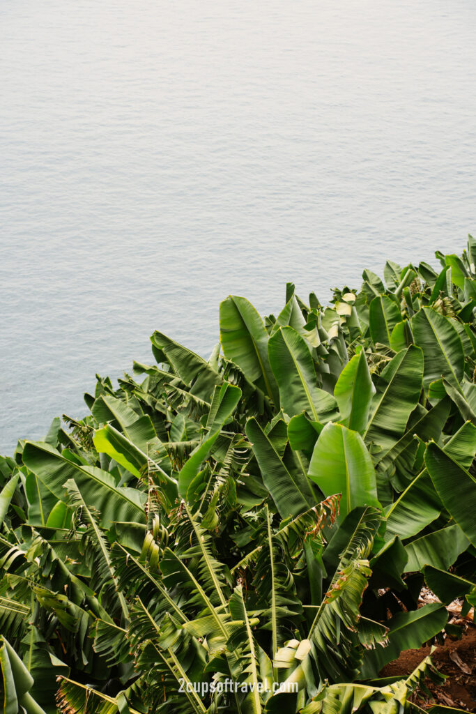 Ponta do Sol hidden gem town Madeira portugal road trip