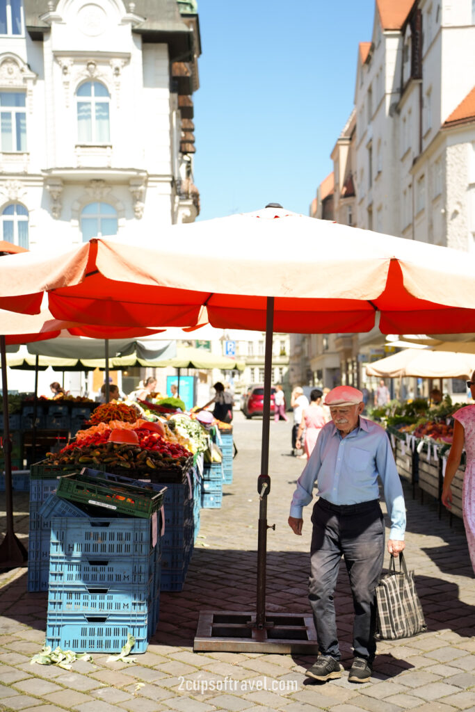 brno Zelny Trh vegetable and street market Kašna Parnas square