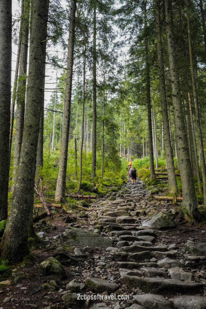 Walk to the first waterfall Wodogrzmoty Mickiewicza waterfall zakopane five lakes hike poland