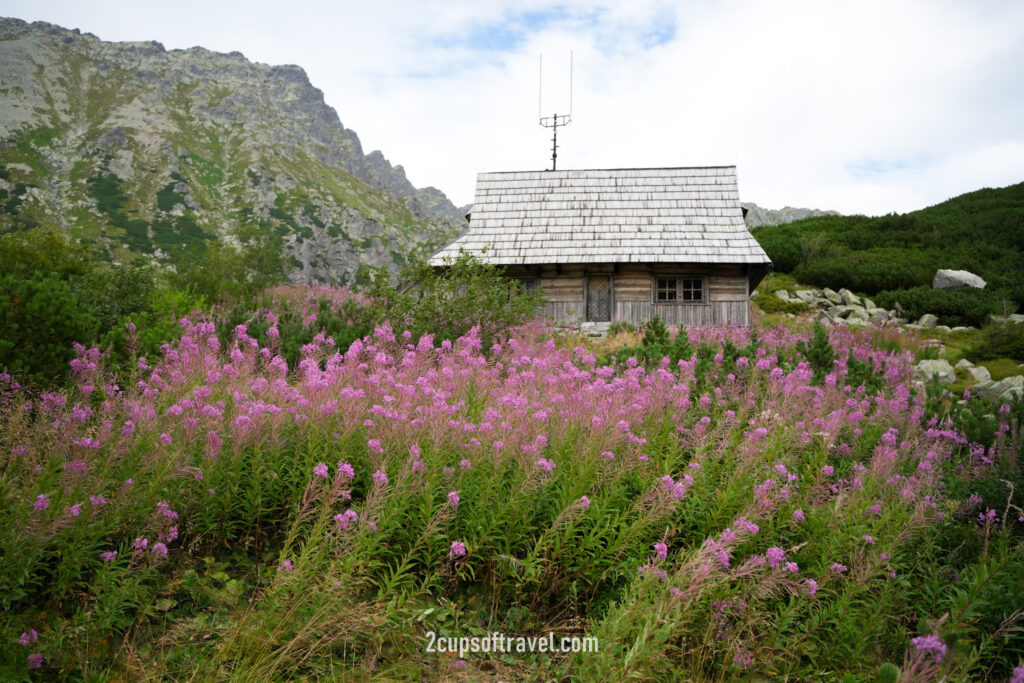 where to hike zakopane morskie oko five lakes things to know