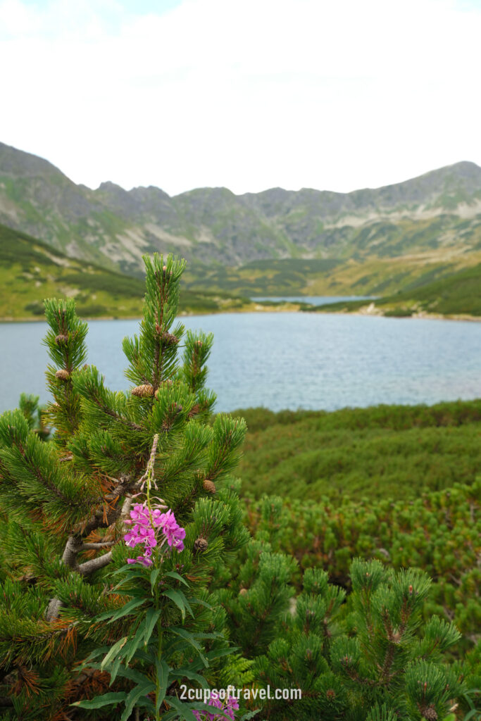 where to hike zakopane morskie oko five lakes things to know