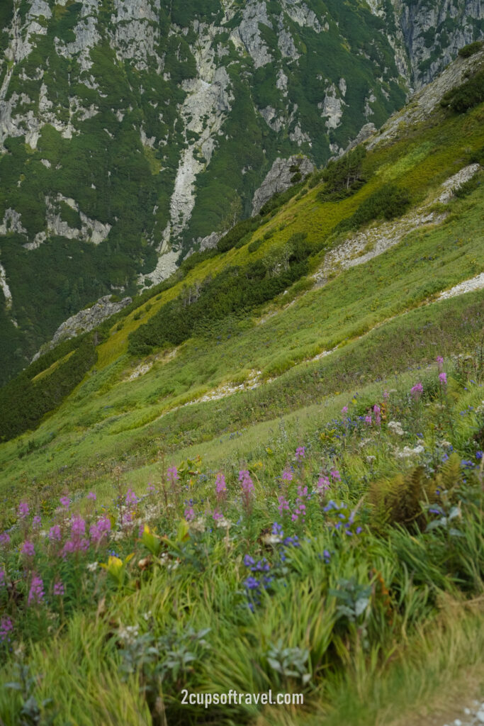 things to know about zakopane poland guide hidden gem hiking