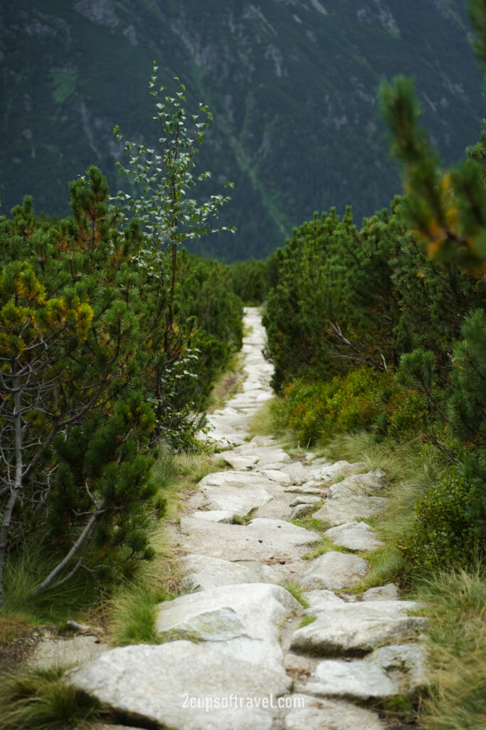 things to know about zakopane poland guide hidden gem hiking