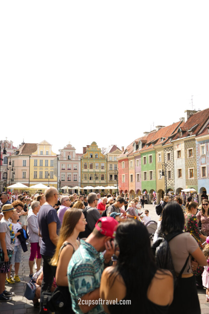 watch the Poznan goats butt heads with each other in the main square clock tower