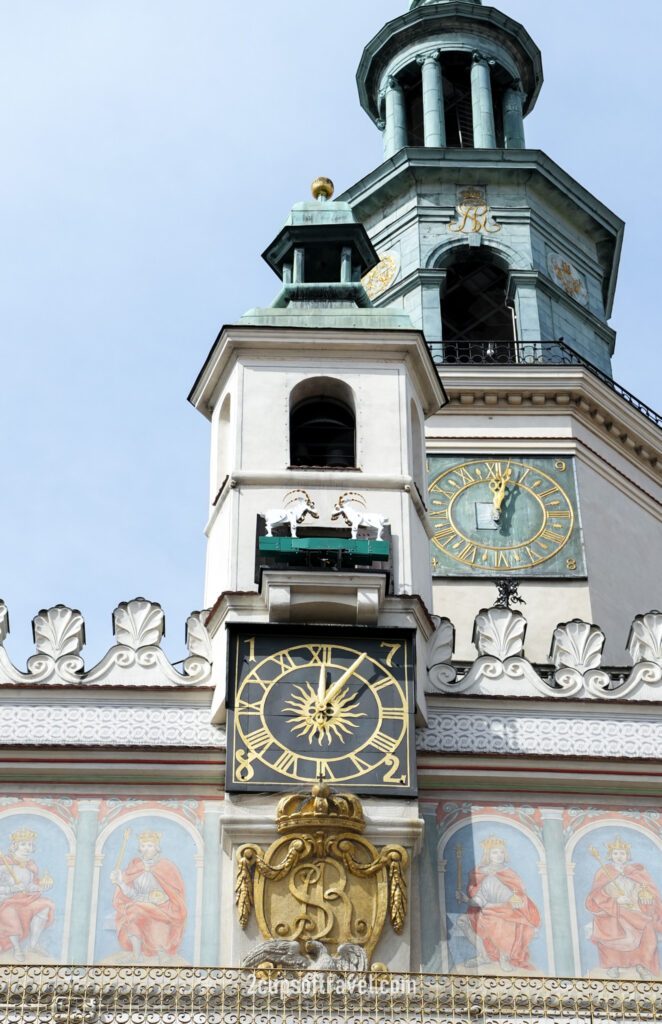 watch the Poznan goats butt heads with each other in the main square clock tower