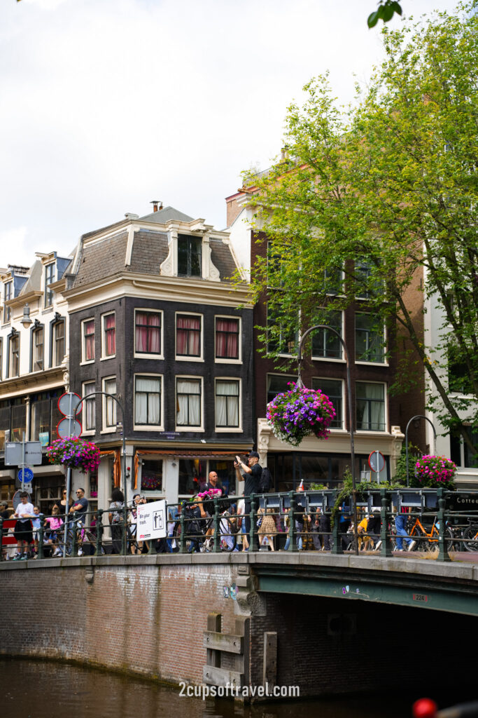 should i visit amsterdam things to do guide what to know